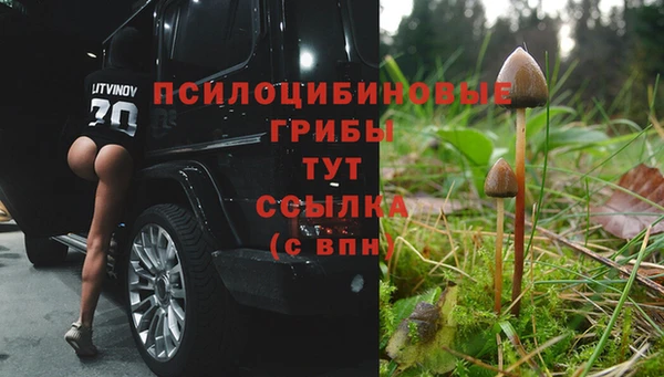 не бодяженный Аркадак
