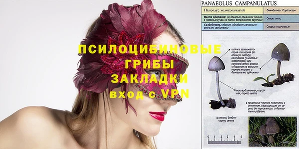 не бодяженный Аркадак