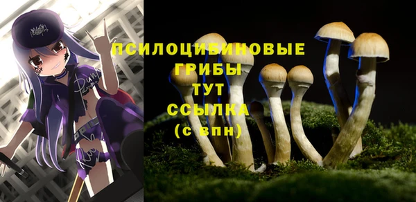 не бодяженный Аркадак